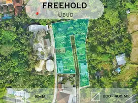 New Projek Tanah Kavling Kangetan Ubud Gianyar Bali