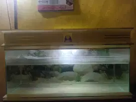 Dijual Cpat! Akuarium Besar Panjang 1 meter