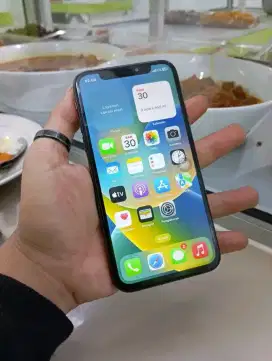 iPhone X 64GB garansi inter