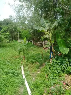 dijual tanah di dampit mekar jaya