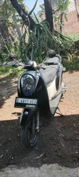 Scoopy karbu 2010