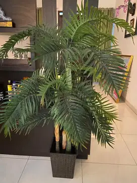 POHON PALM ARTIFICIAL  TANAMAN HIAS LATEX PALEM PALM  dekorasi rumah