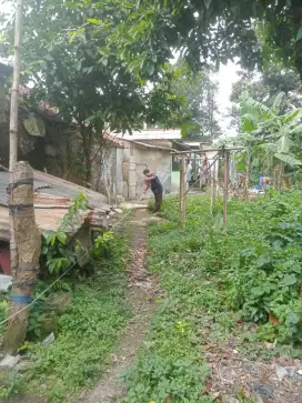 dijual tanah di dampit mekar jaya ciomas
