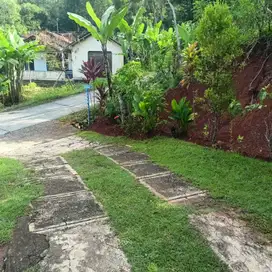 JUAL TANAH DI CLAPAR PENGASIH KULONPROGO