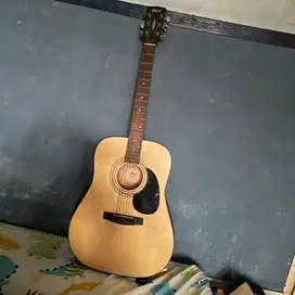guitar Akustik Cort AD 810