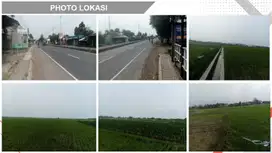 Tanah 120Ha Jalan Pantura Tengguli Brebes Jawa tengah