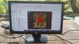 Jual monitor LED merk hp 19 inch