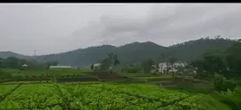 Batu, Indragiri. Lahan komersial. untuk usaha