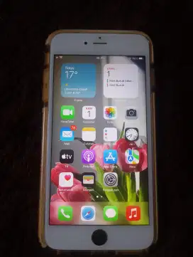 iPhone 6s Plus 64gb wifi only