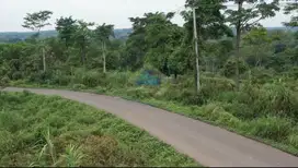 Dijual Tanah di GN Anten, Cimarga, Lebak - Banten.