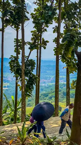 Tanah Kavling Kebun Produktif Healthy Life di Jonggol Bogor Timur