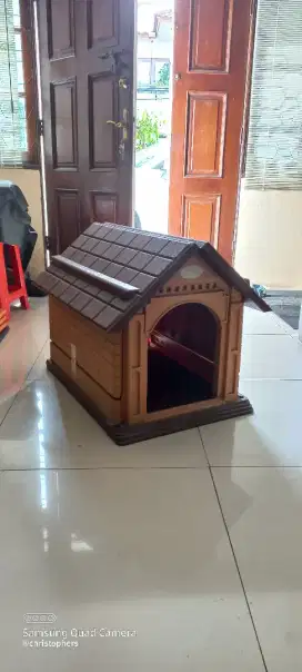 Rumahan anjing dan kucing kondisi ok