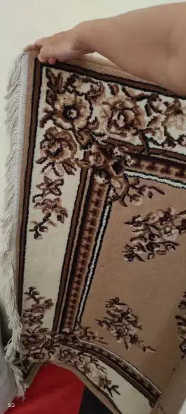 Karpet bulu / Karpet Aladin / Alas duduk (2PCS)