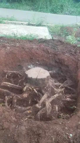 Tukang gali,ngecat rumah, renovasi,tebang pohon dll.