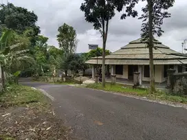 DIJUAL Tanah Kebun : Rumah, Saung, Mushola Dan Di Tanami Durian DLl