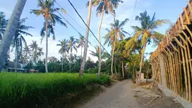 DIJUAL LAHAN LUAS 12 ARE - DEKAT KE CENTRAL UBUD - BALI