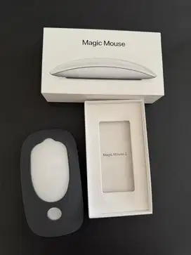 Magic Mouse 2 Second