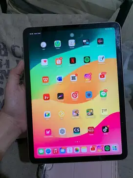 ipad air 4 wifi only