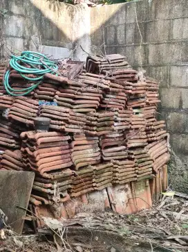 Gratis Genteng Kodok