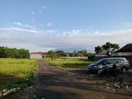 Kavling Dekat Terminal Bubulak & Laladon. Bisa Cicil 12X tanpa Bunga