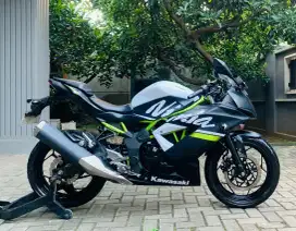Kawasaki ninja 250 sl mono