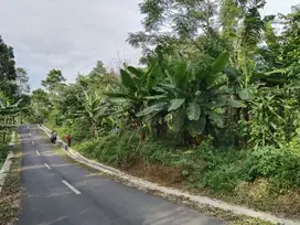 Dijual Tanah Kebun View Pegunungan Di Bojong Darangdan Purwakarta.