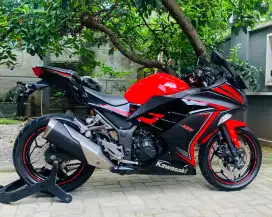 Kawasaki ninja 250 SE