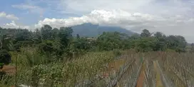 DIJUAL TANAH LAHAN 7500 m² VIEW GUNUNG DI CARINGIN BOGOR