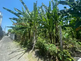 Premium Land Walking Distance to Batubelig Beach