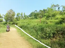 LAHAN KEBUN MURAH PINGGIR JALAN DI CIWIDEY