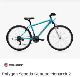 Mountain Bike Polygon Monarch GEN 2