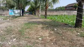 Bisa 12x Angsuran Tanpa Bunga. Kavling Sakura Bogor. hanya 2jt-an