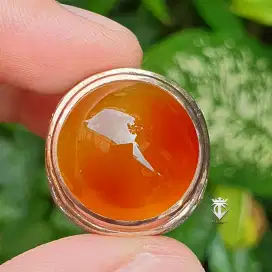 Batu Natural Raflesia Madu Carnelian Chalcedony 29.61 Ct NTE MRI Memo