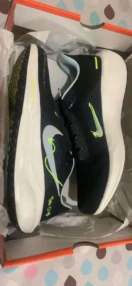 Nike Pegasus 41 Original