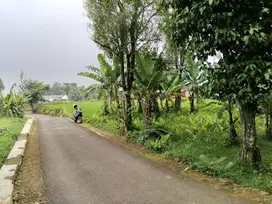Jual Kebun Dan Sawah | 778 MDPL | Udara Sejuk Tanah Subur
