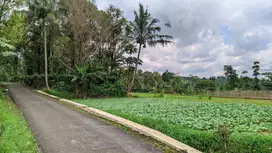 Jual Kebun Dan Sawah Di Dekat Pegunungan | 778 MDPL