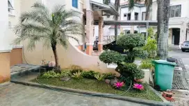 Tukang taman dan perawatan taman / maintenance