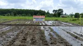 Dijual cepat tanah kavling siap bangun