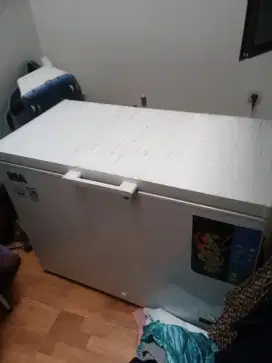 Freezer 300L RSA