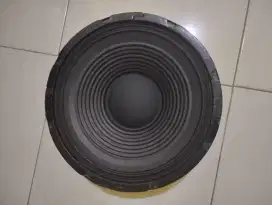 Spiker audax 12 inch