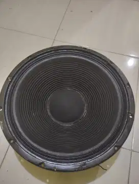 Spiker 15 inch polosan