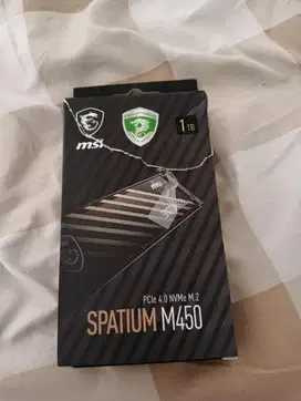 Dijual Cepat SSD NVMe M2 MSI 1TB
