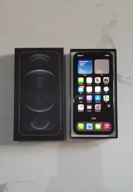 JUAL I PHONE 12 PRO MAX 128GB MULUS
