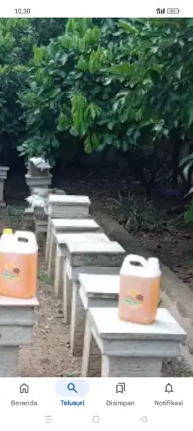Jual madu murni lebah Serena