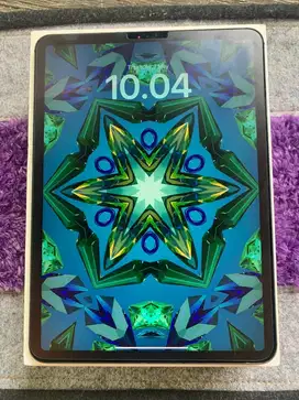 Ipad Pro Gent 2 256gb 11 inch Wifi + Cellular Space Grey IBOX