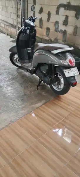 Scoopy 2019 plat batu