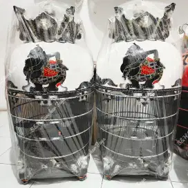 Sangkar Perkutut Kayu Dempul Semar Putih