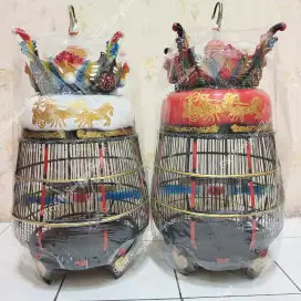 Sangkar Perkutut Model Jambu Katesan