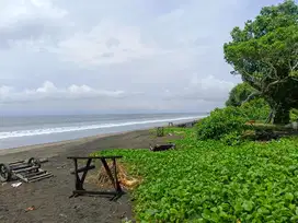 TANAH LOS PANTAI 20 ARE MENDOYO JEMBRANA BALI