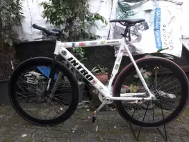 Fixie semi pursuit